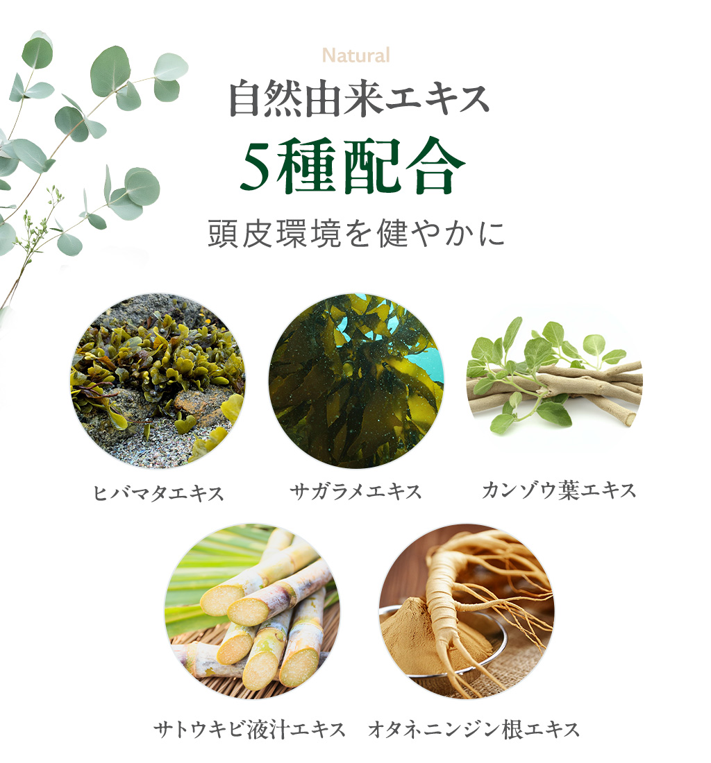 自然由来エキス6種配合